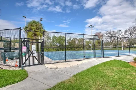 30914 Burleigh Drive Wesley Chapel FL 33543