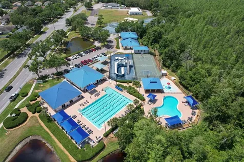 30914 Burleigh Drive Wesley Chapel FL 33543