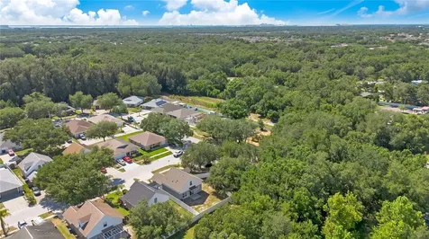 10225 Summerview Circle Riverview FL 33578