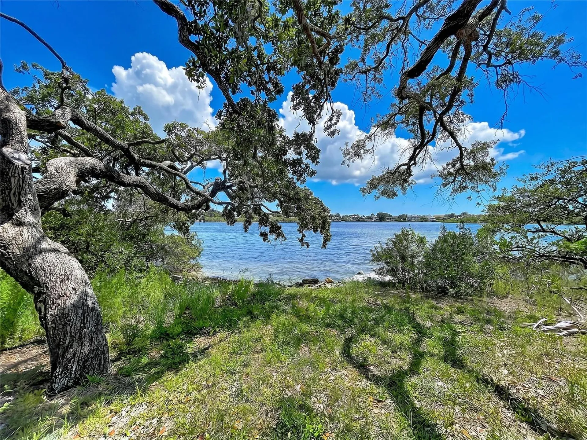 1275 Mickler Lane Tarpon Springs FL 34689