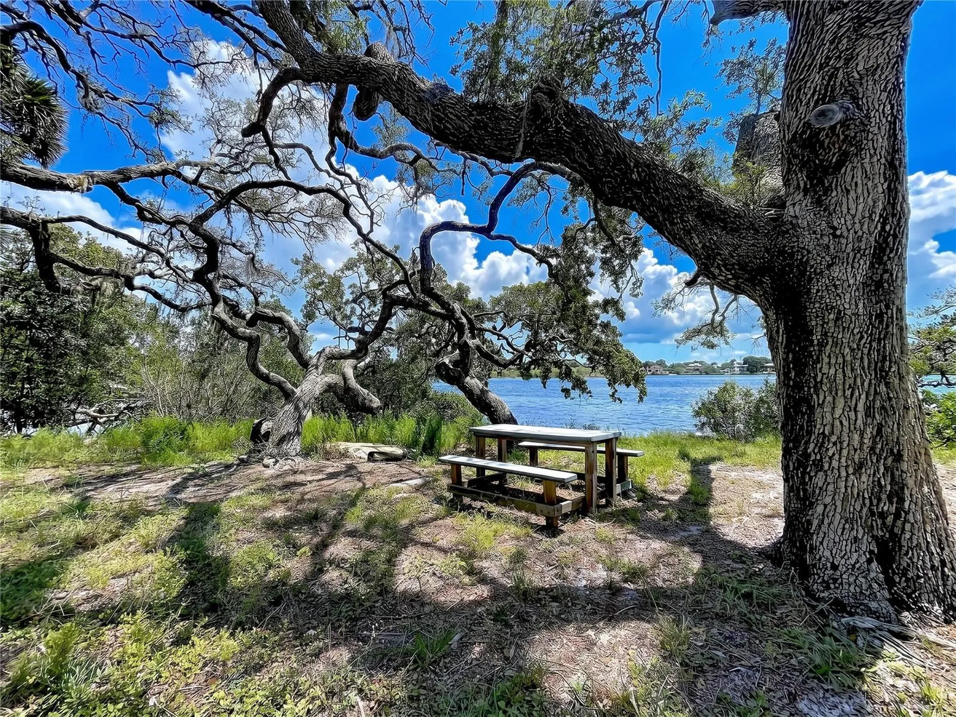 1275 Mickler Lane Tarpon Springs FL 34689