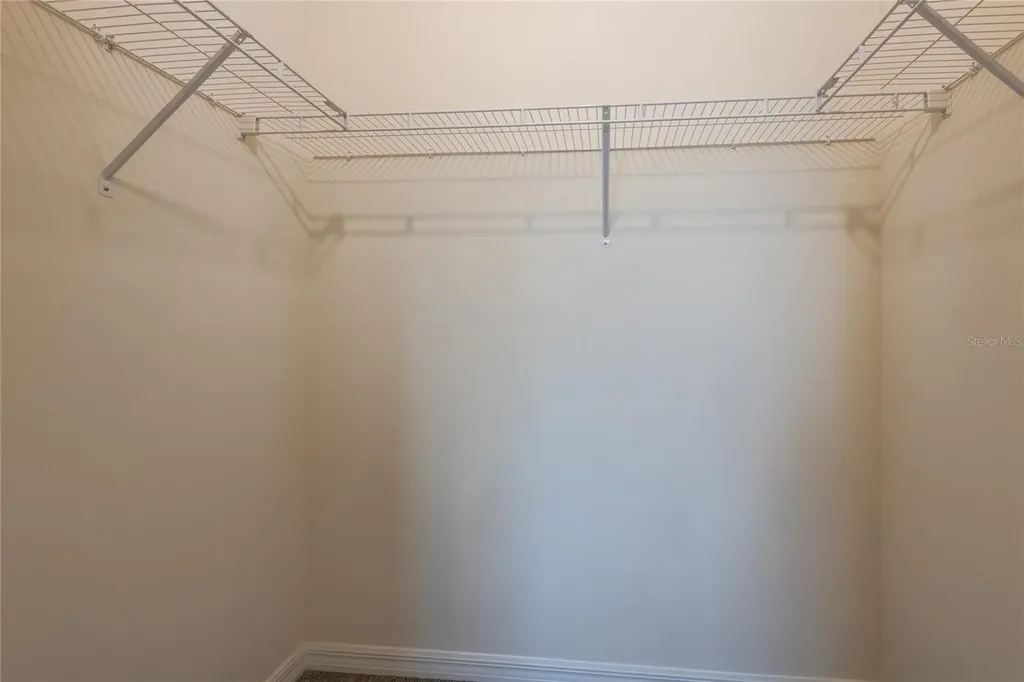 34310 Redwood Dawn Lane Wesley Chapel FL 33543