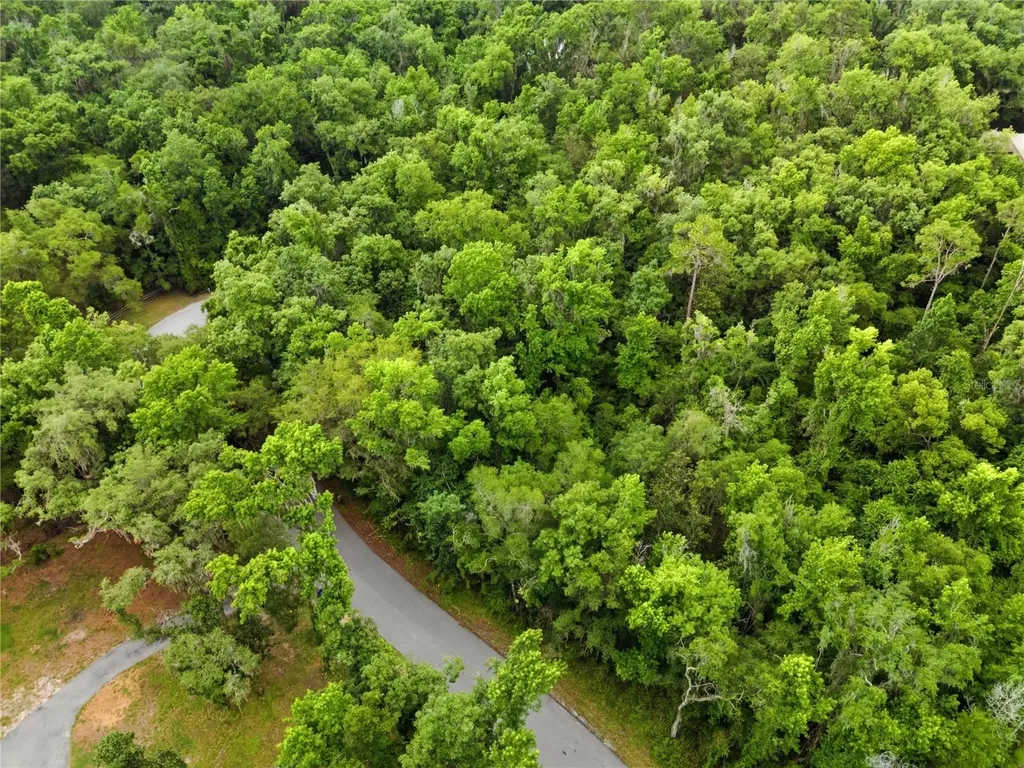 26000 Withrow Road Brooksville FL 34601