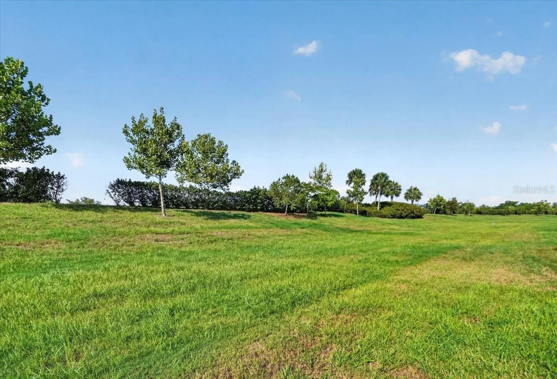 24229 Spartina Drive Venice FL 34293