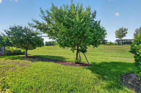 24229 Spartina Drive Venice FL 34293