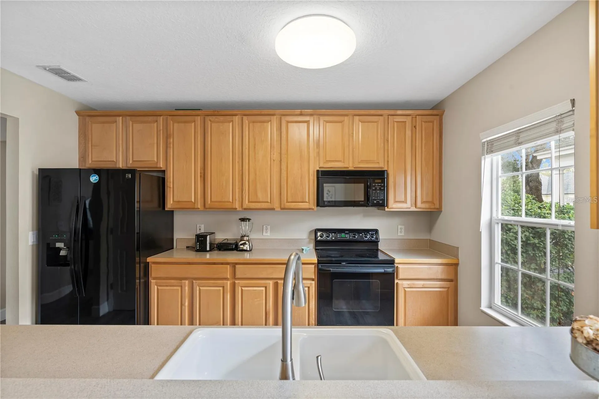 932 Pawstand Road Celebration FL 34747