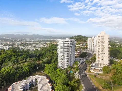 14 Rd 833, La Cima Guaynabo PR 00969