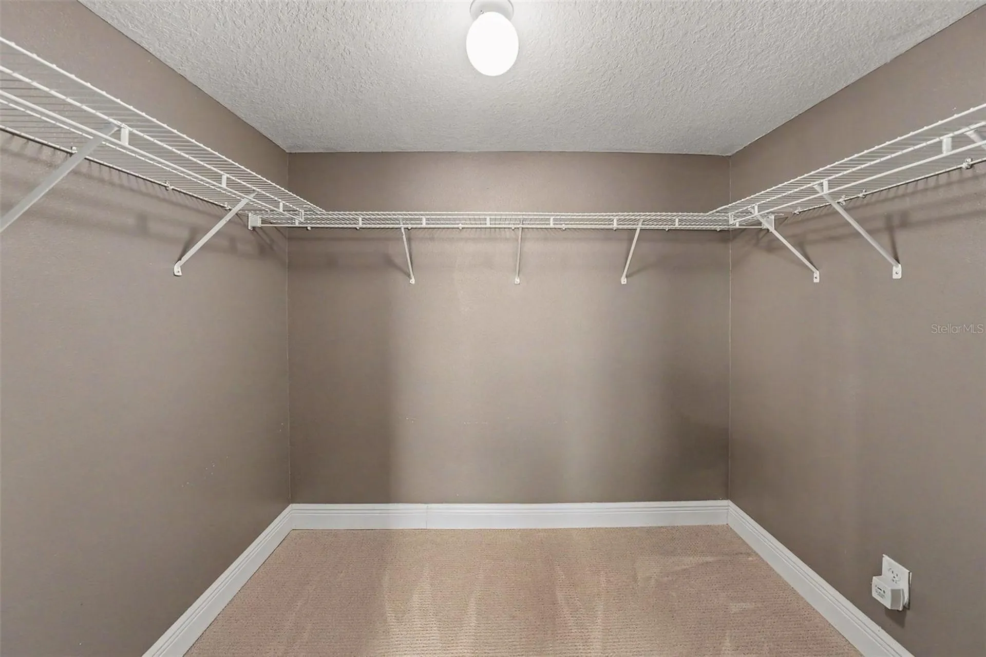 1724 Woodmarker Court Brandon FL 33510