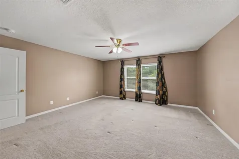 1724 Woodmarker Court Brandon FL 33510