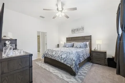 1915 Ibis Bay Court Ocoee FL 34761