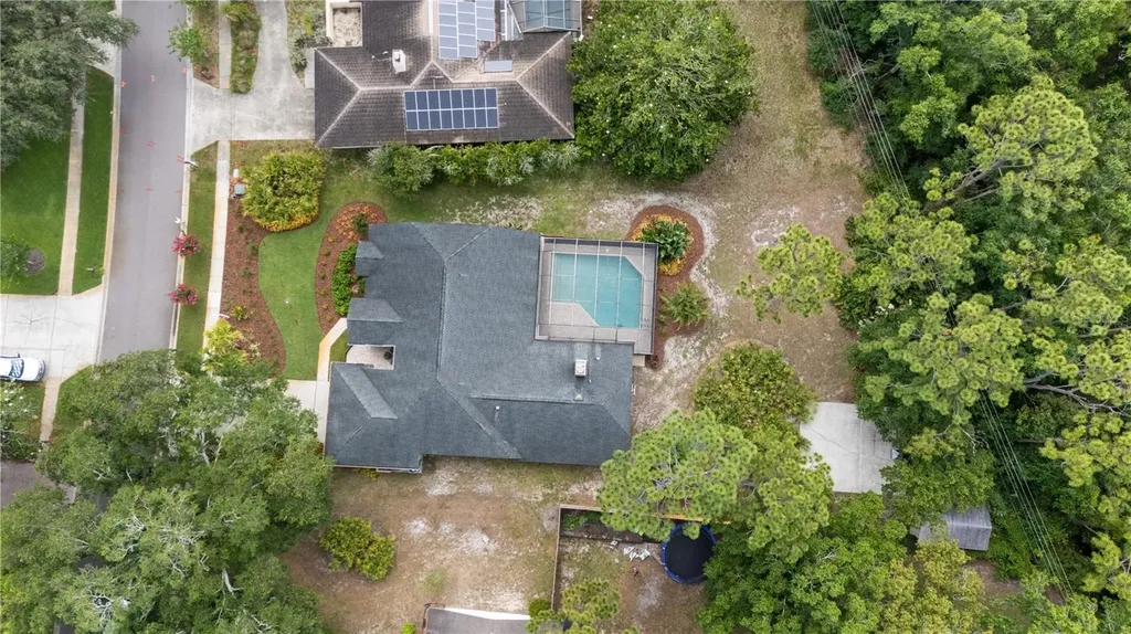 3372 Brian Road S Palm Harbor FL 34685