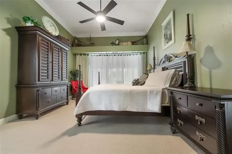 3372 Brian Road S Palm Harbor FL 34685