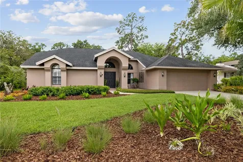 3372 Brian Road S Palm Harbor FL 34685