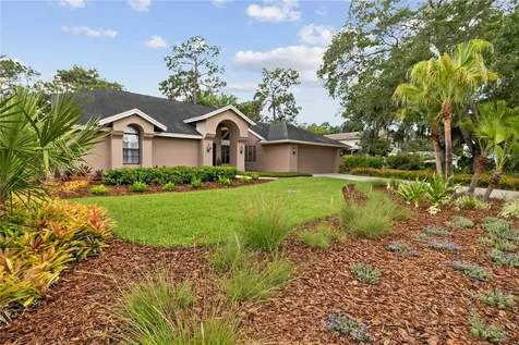 3372 Brian Road S Palm Harbor FL 34685