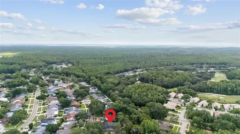 3372 Brian Road S Palm Harbor FL 34685