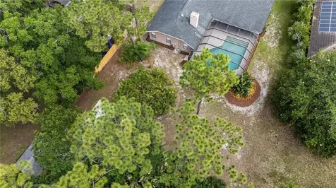 3372 Brian Road S Palm Harbor FL 34685