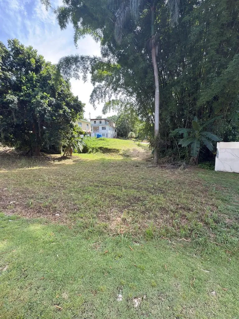 Carr 454 Bo Callejones Lares PR 00669