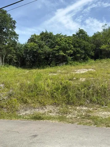 Carr 454 Bo Callejones Lares PR 00669