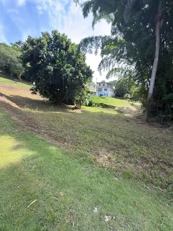 Carr 454 Bo Callejones Lares PR 00669