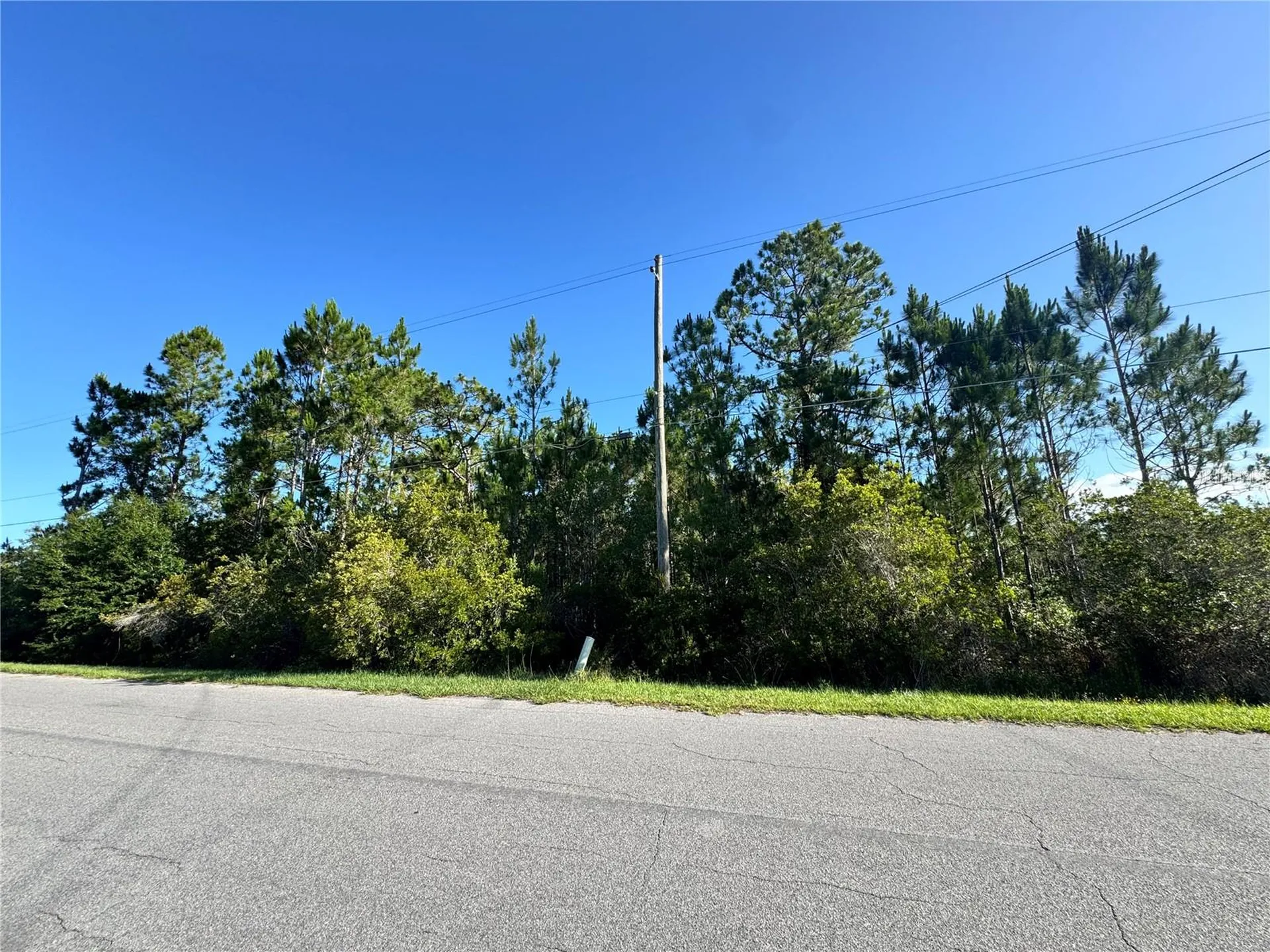 20345 Quinn Street Orlando FL 32833