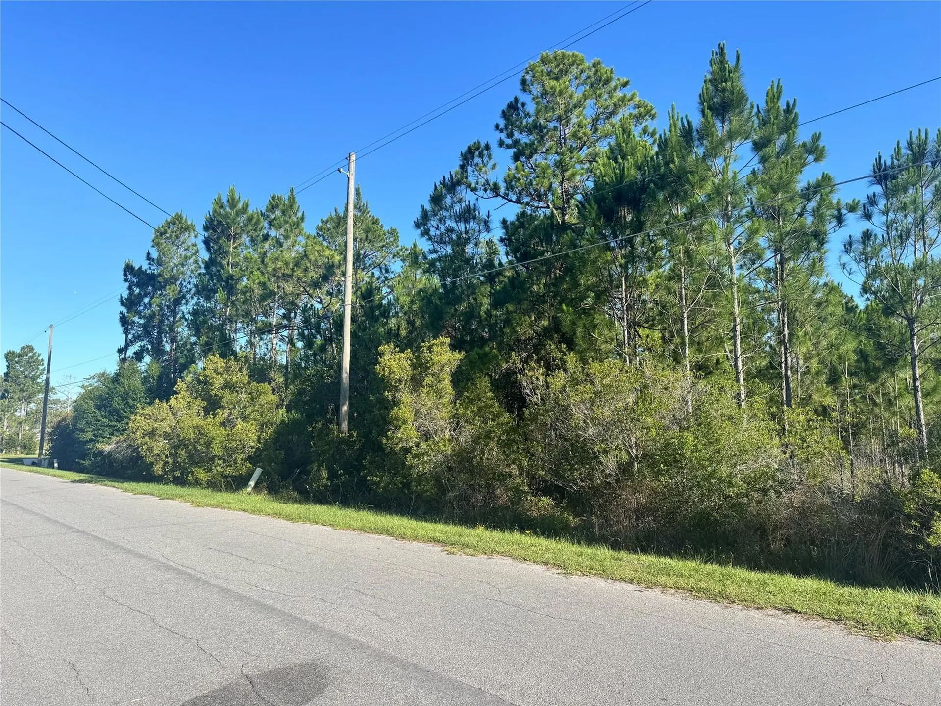20345 Quinn Street Orlando FL 32833