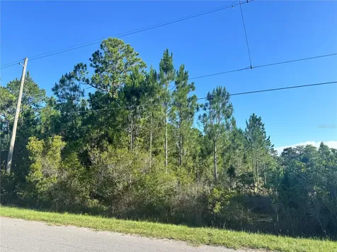 20345 Quinn Street Orlando FL 32833