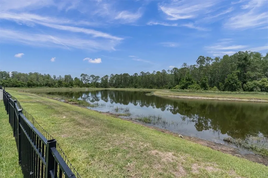 11967 Gavin Lane Odessa FL 33556