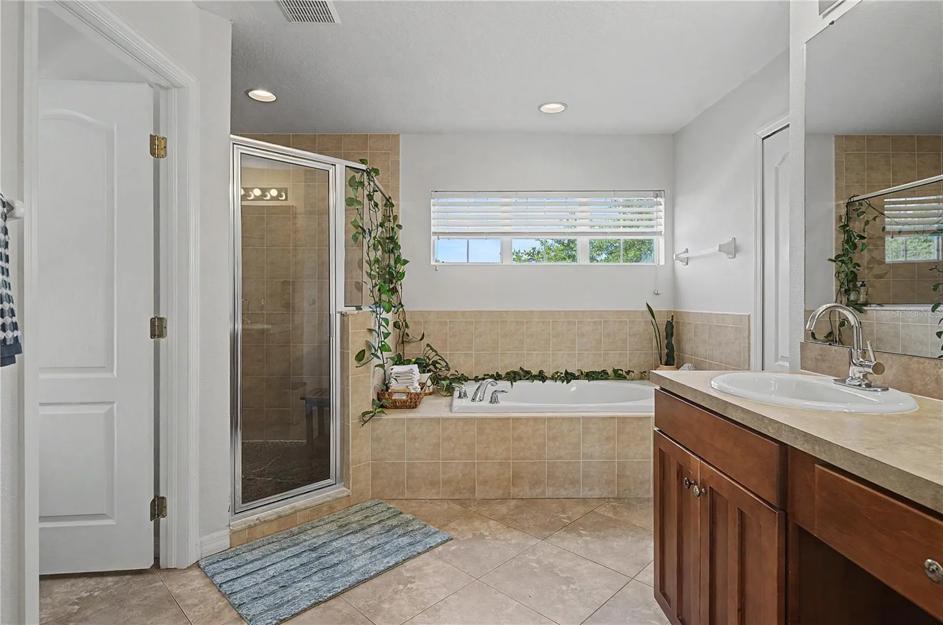 4205 Knob Lake Court Tampa FL 33619