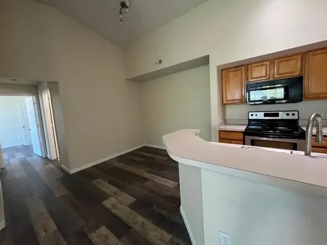 13025 Mulberry Park Drive Orlando FL 32821