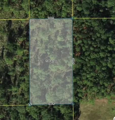 Polk City Polk City FL 33868