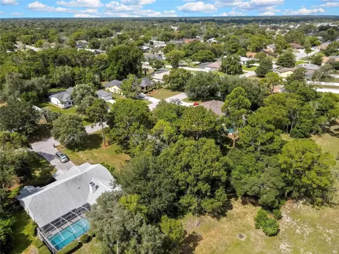 Orangewood Court Spring Hill FL 34609