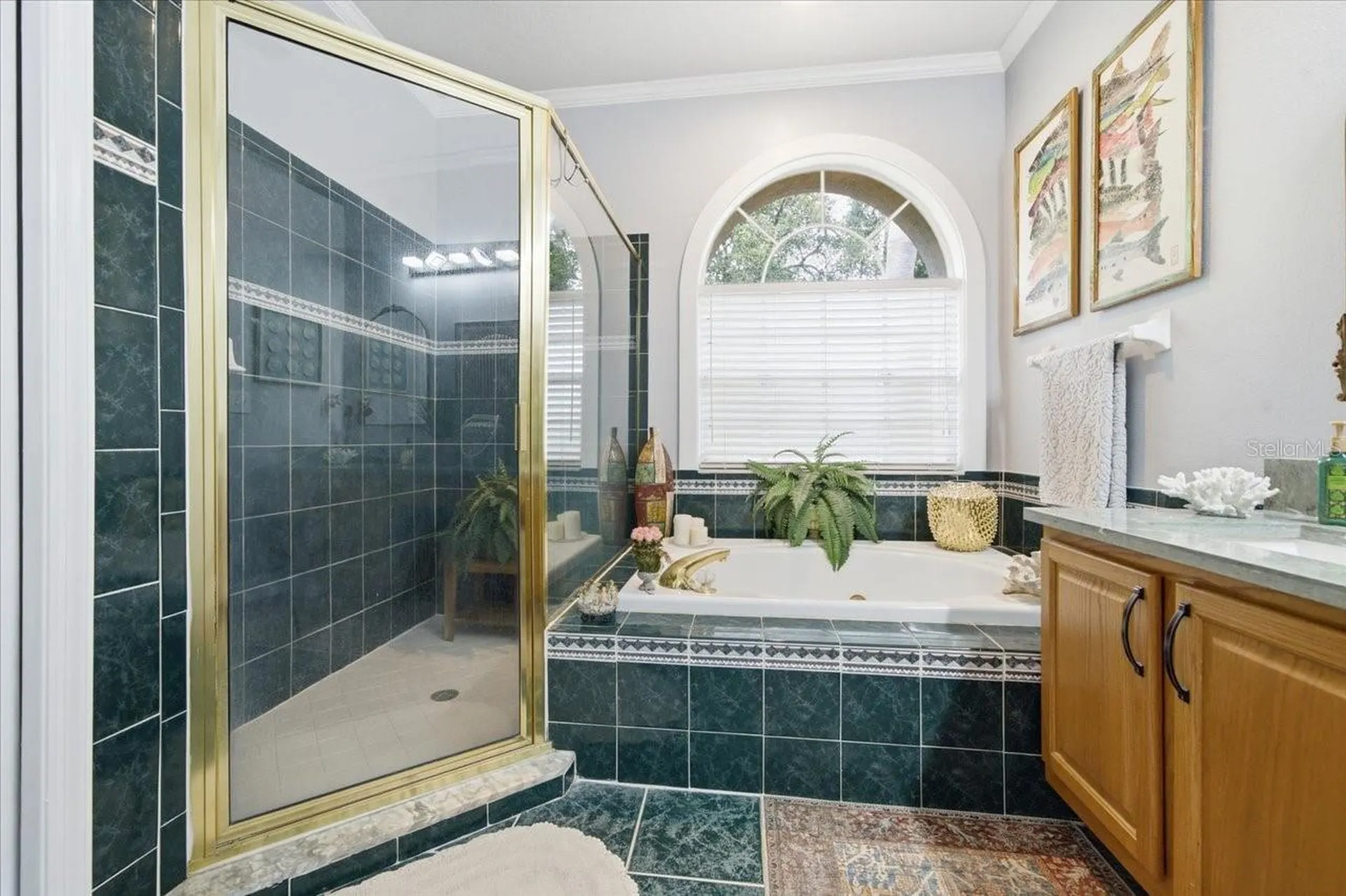 3702 Cypress Meadows Road Tampa FL 33624