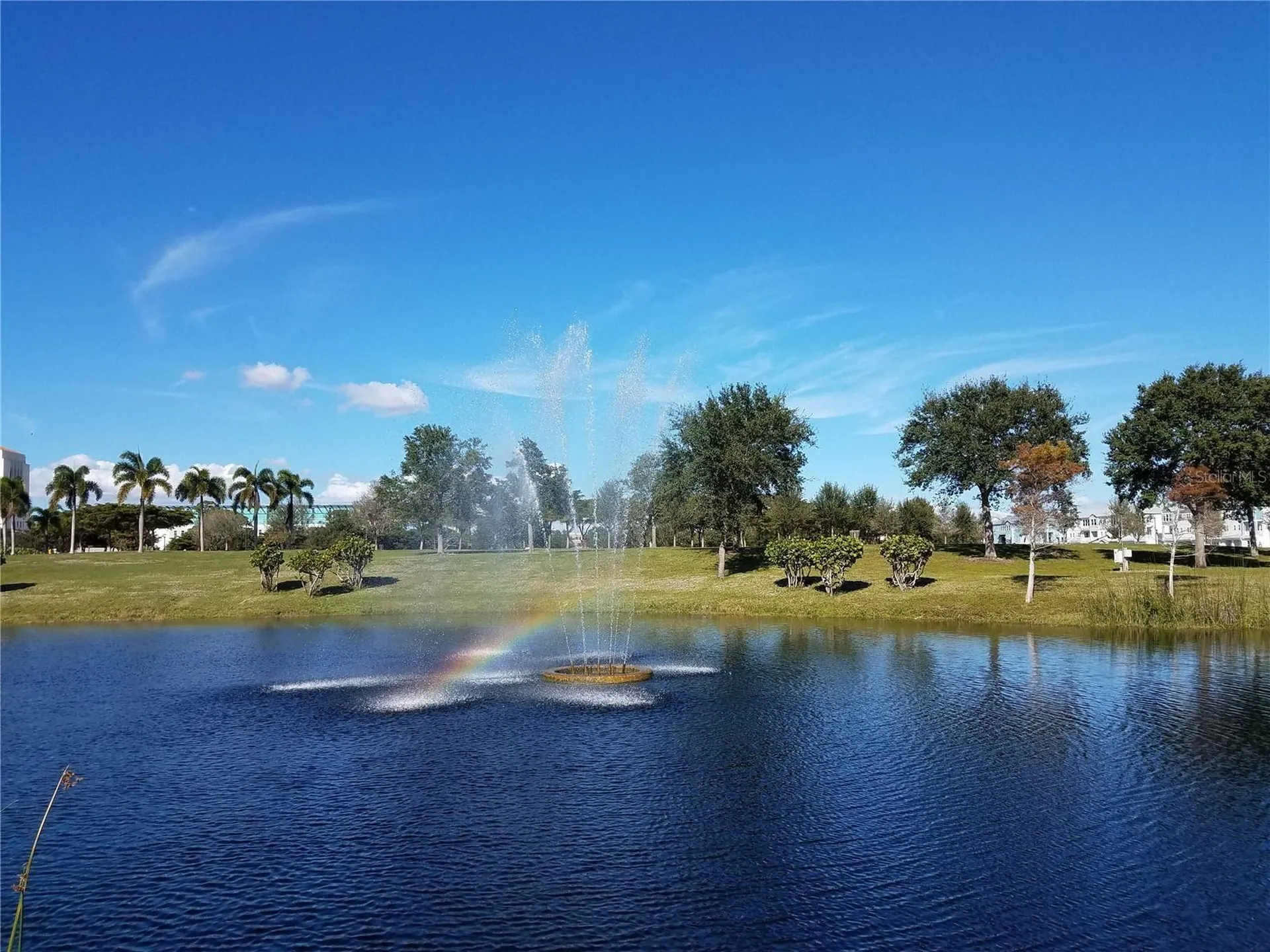 2155 Wood Street Sarasota FL 34237