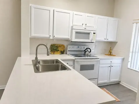 1119 Park Ridge Circle Kissimmee FL 34746