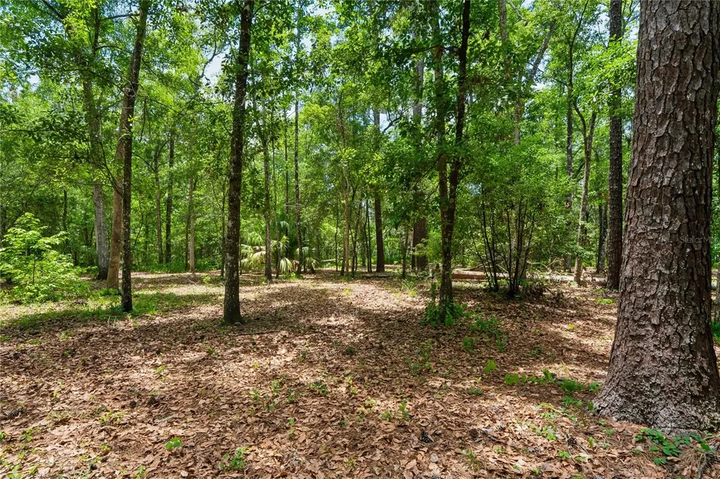 1022 S Mildred Avenue Brooksville FL 34601