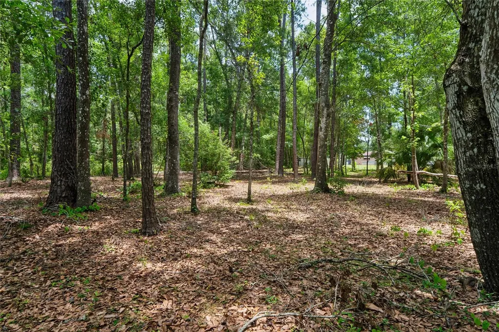 1022 S Mildred Avenue Brooksville FL 34601