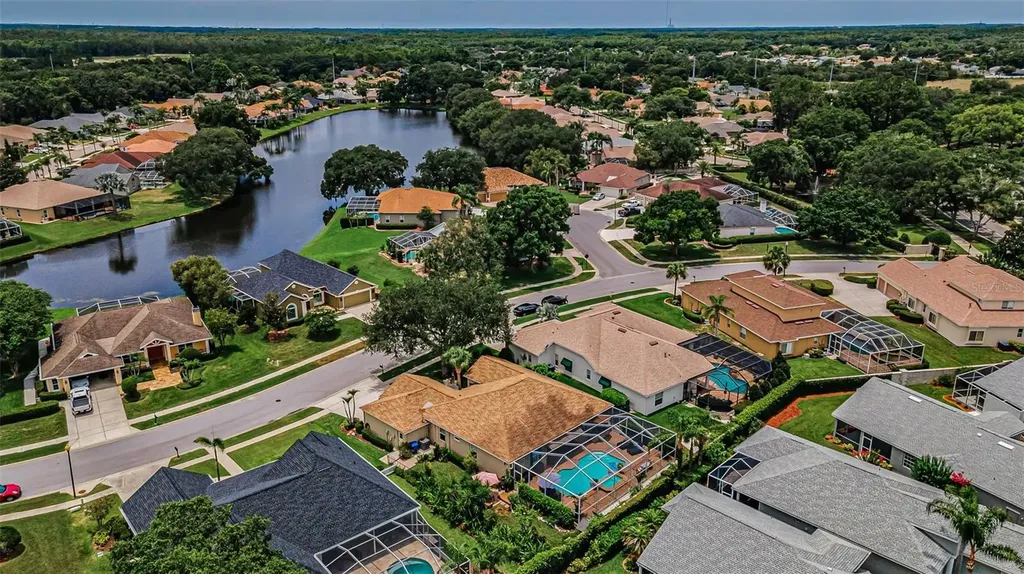 1114 Toski Drive Trinity FL 34655