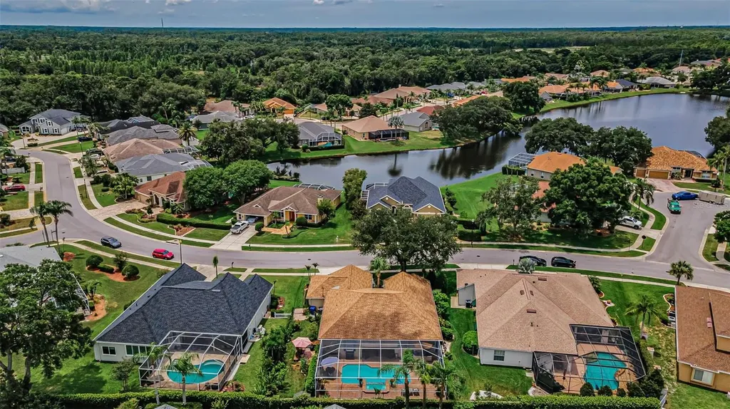 1114 Toski Drive Trinity FL 34655
