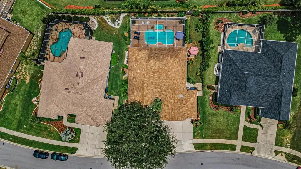 1114 Toski Drive Trinity FL 34655
