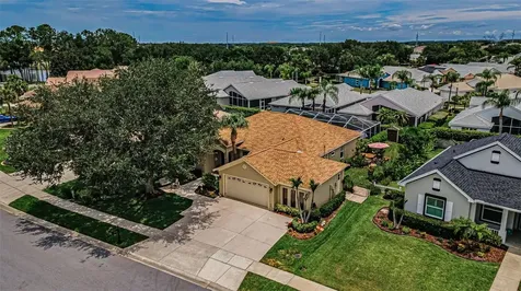 1114 Toski Drive Trinity FL 34655