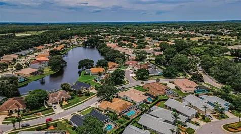 1114 Toski Drive Trinity FL 34655