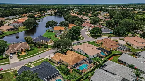 1114 Toski Drive Trinity FL 34655