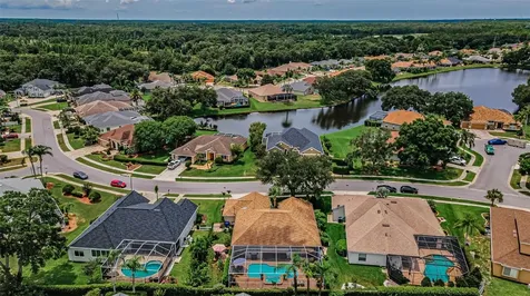 1114 Toski Drive Trinity FL 34655