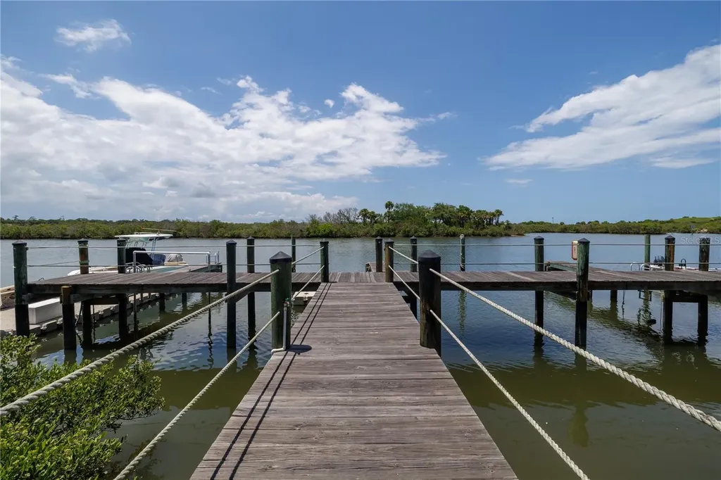 100 Poinciana Cove Court New Smyrna Beach FL 32169