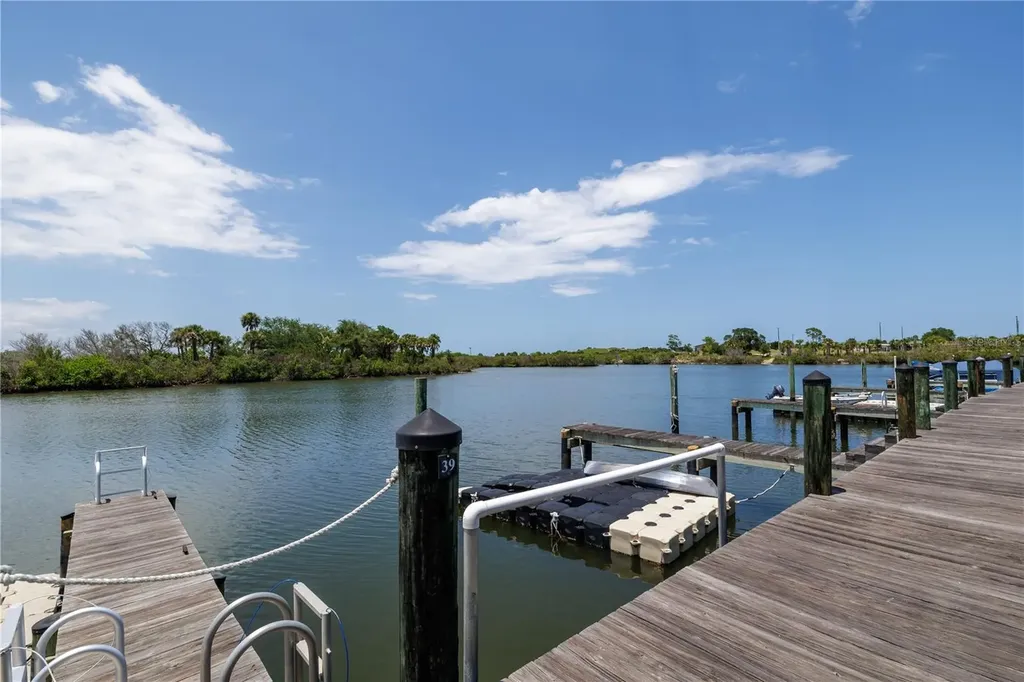 100 Poinciana Cove Court New Smyrna Beach FL 32169