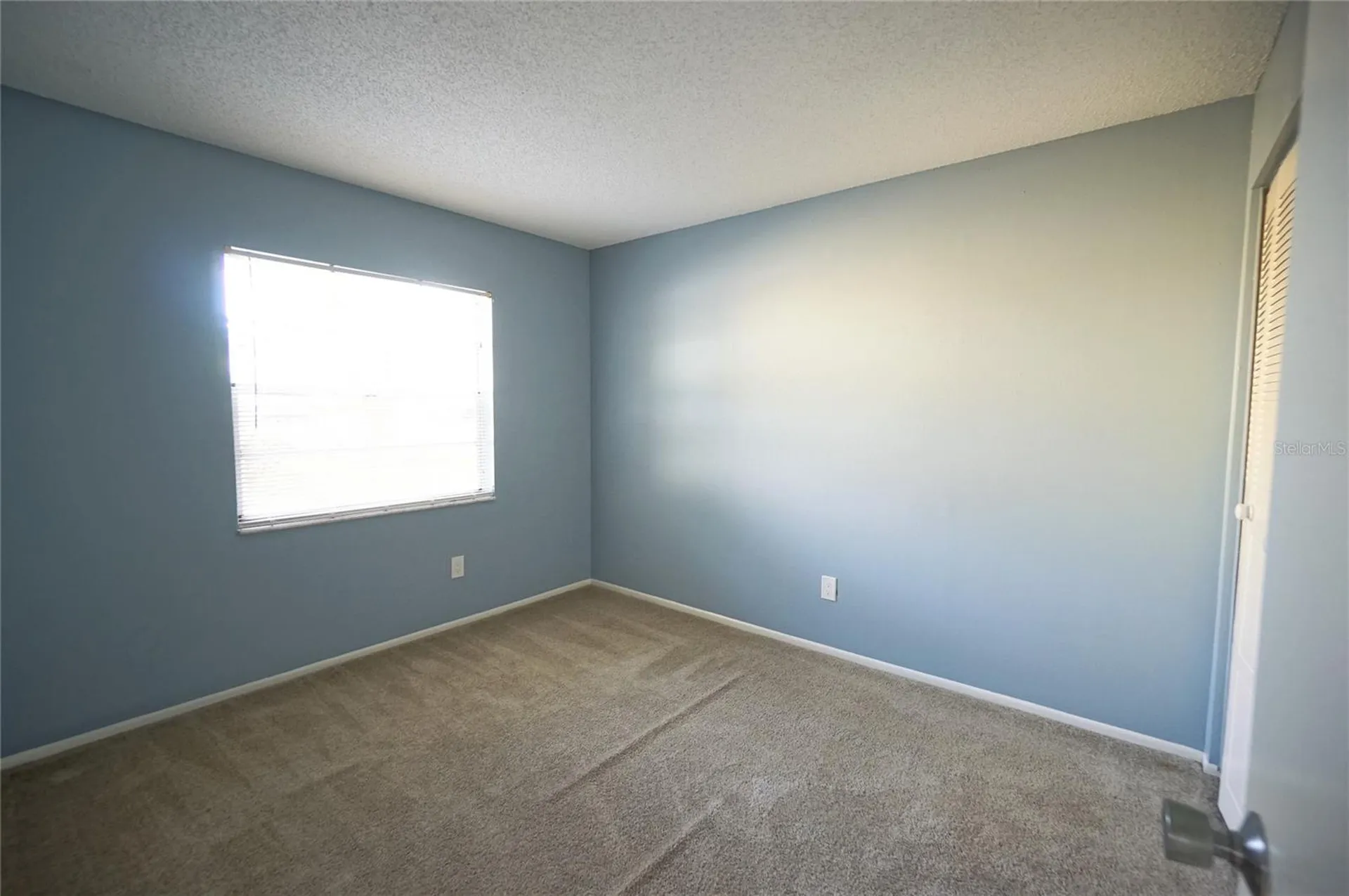 5117 Ellendale Avenue Tampa FL 33625