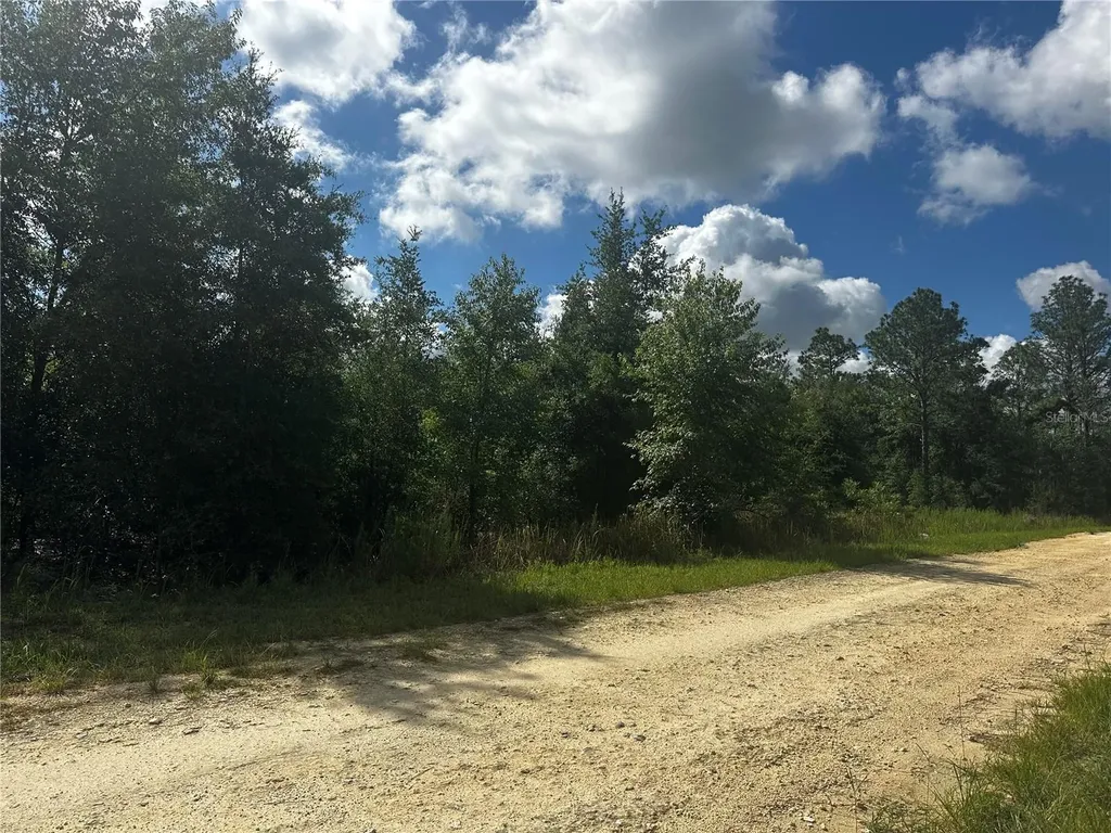 2499 SW 143rd Court Ocala FL 34481