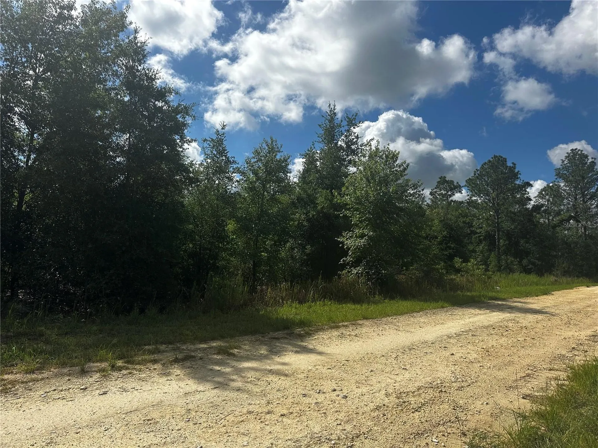 2499 SW 143rd Court Ocala FL 34481