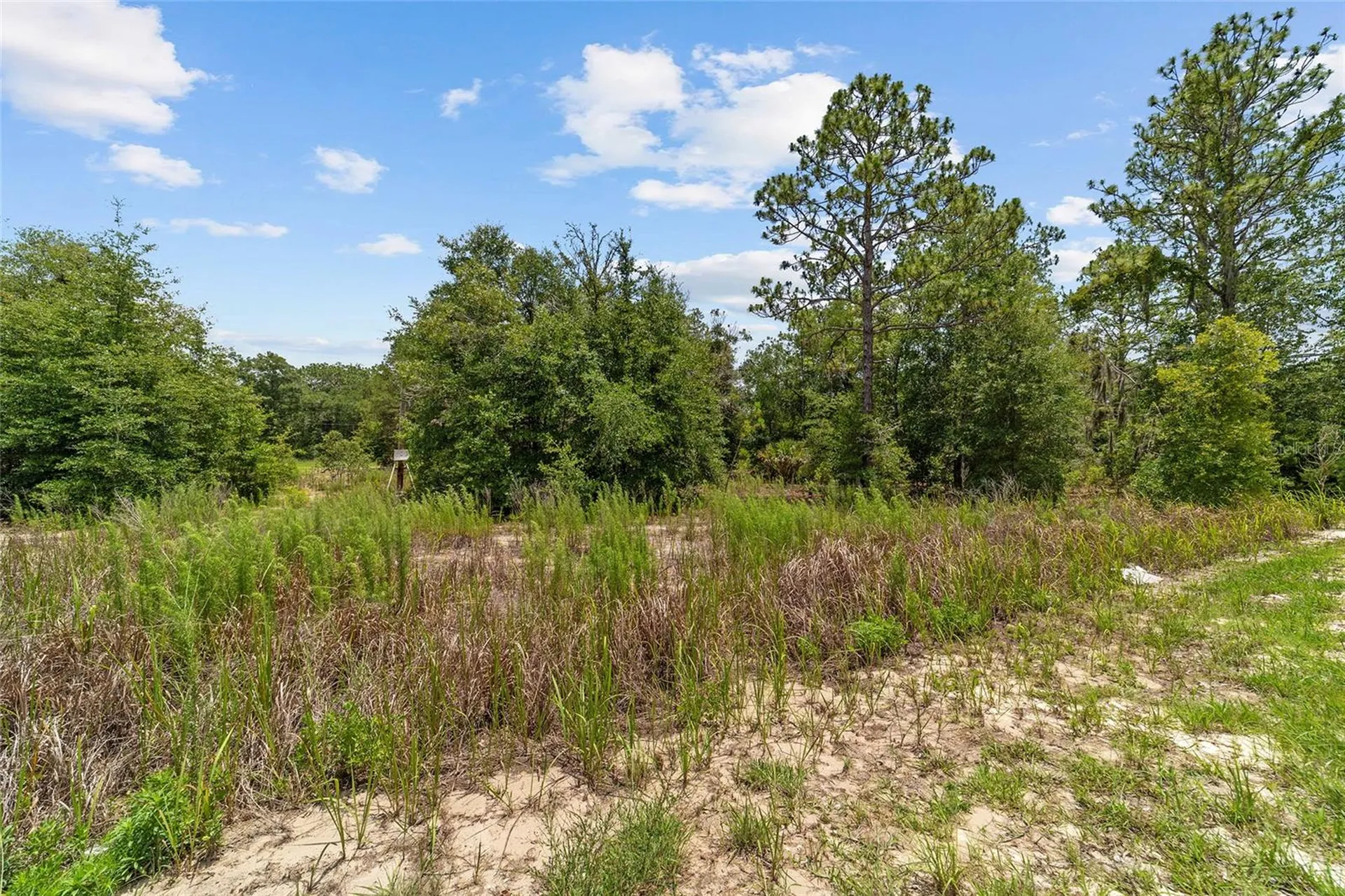 2499 SW 143rd Court Ocala FL 34481