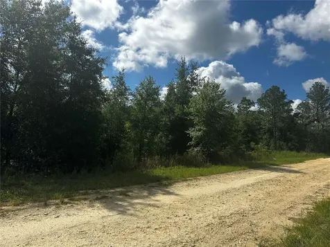 2499 SW 143rd Court Ocala FL 34481